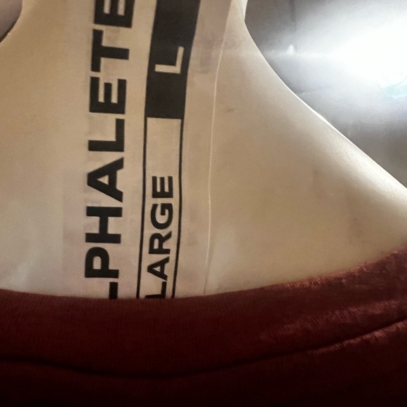 Alphalete Dynasty LS Crop Tee - Gingerbread - Picture 4 of 7